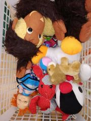 16830961_693270310832843_1326292727799160689_n[1].