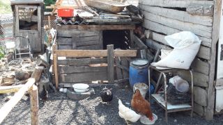 20170522_101203 - Copy.jpg