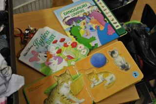 Kopírovať  z DSC_0016.JPG